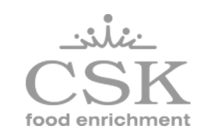 csk-gray-300x200